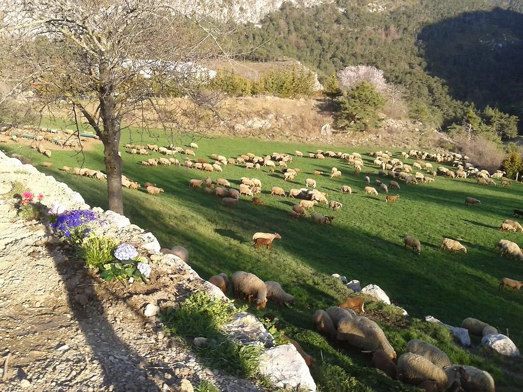 Séjour à la ferme Villa Ferme de Sejour Rebuffel à La Roque-Esclapon France